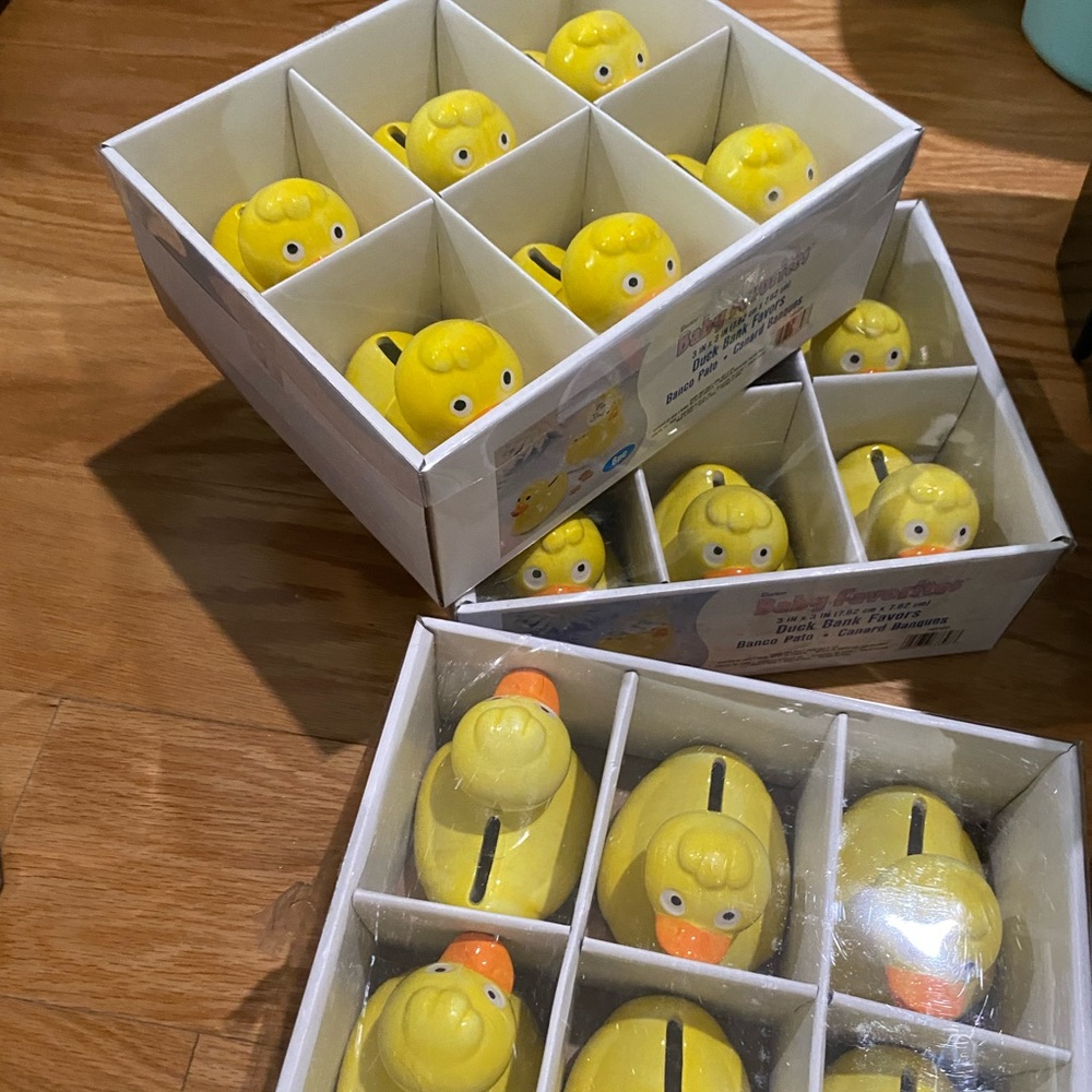 18 Ceramic Duck Banks
